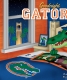 Cover of Goodnight Gators